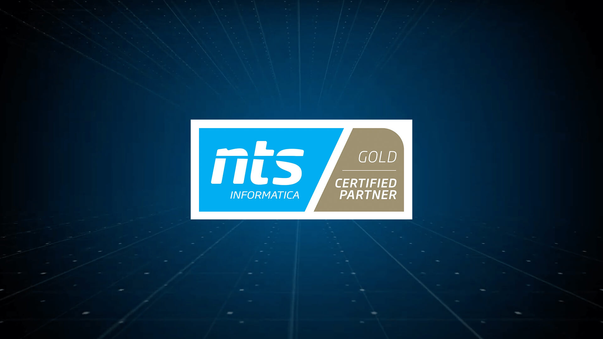 _nts-gold nts informatica partner